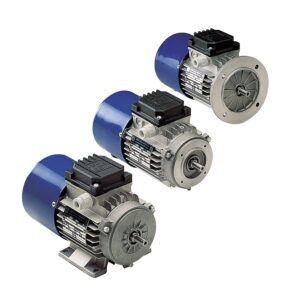 Motor eléctrico trifásico frenante BM MGM